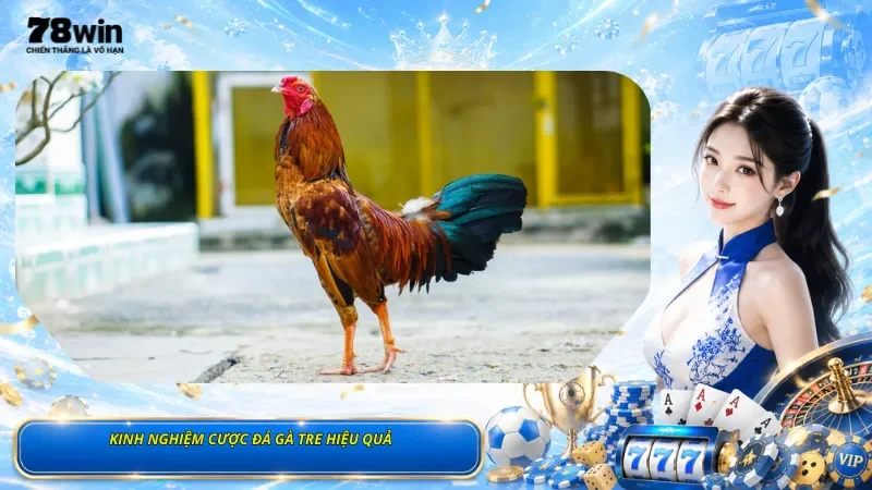 Kinh Nghiệm Cược Đá Gà Tre Hiệu Quả