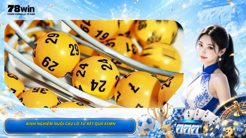 Kinh Nghiệm Nuôi Cầu Lô Từ Kết Quả XSMN